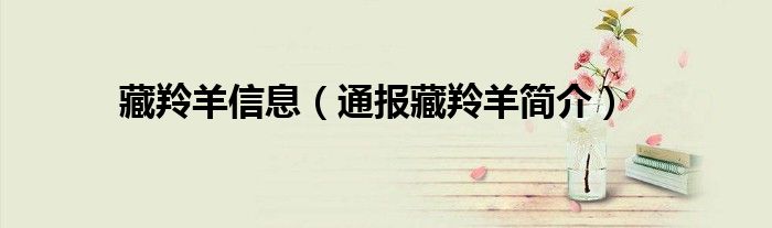 藏羚羊信息(通报藏羚羊简介)