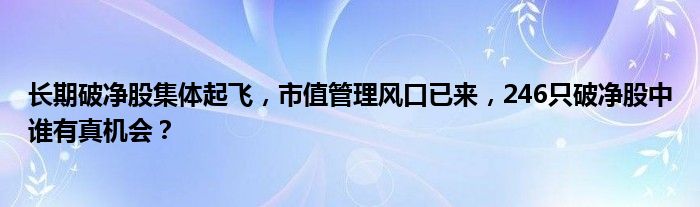 长期破净股集体起飞,市值管理风口已来,246只破净股中谁有真机会?