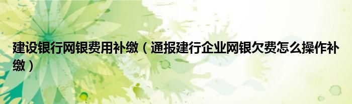 建设银行网银费用补缴(通报建行企业网银欠费怎么操作补缴)