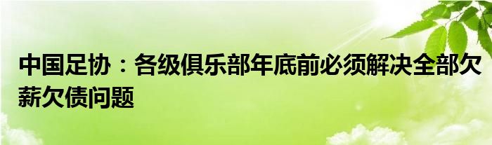 中国足协:各级俱乐部年底前必须解决全部欠薪欠债问题