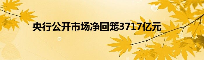 央行公开市场净回笼3717亿元