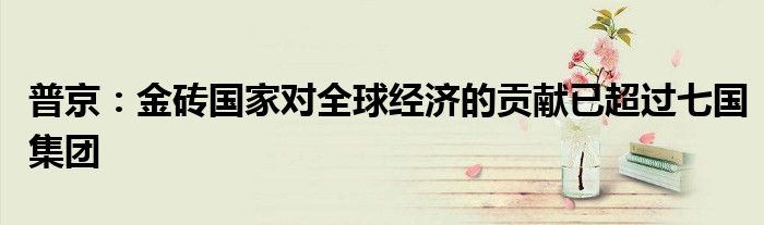 普京:金砖国家对全球经济的贡献已超过七国集团