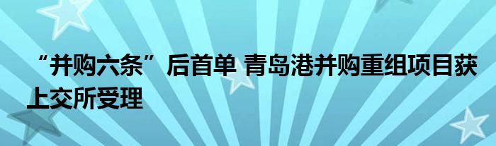 “并购六条”后首单 青岛港并购重组项目获上交所受理