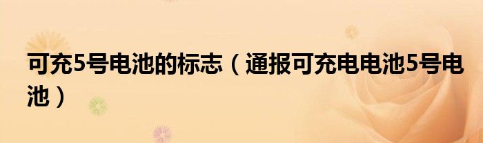 可充5号电池的标志(通报可充电电池5号电池)