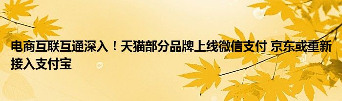 电商互联互通深入!天猫部分品牌上线微信支付 京东或重新接入支付宝