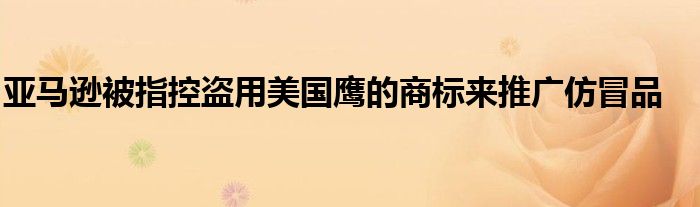亚马逊被指控盗用美国鹰的商标来推广仿冒品