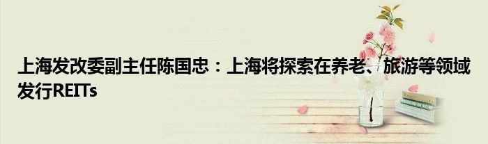 上海发改委副主任陈国忠:上海将探索在养老、旅游等领域发行REITs