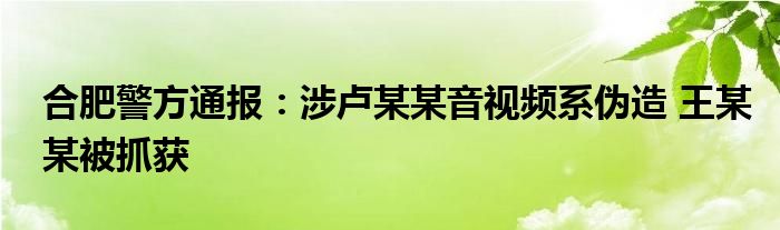 合肥警方通报:涉卢某某音视频系伪造 王某某被抓获