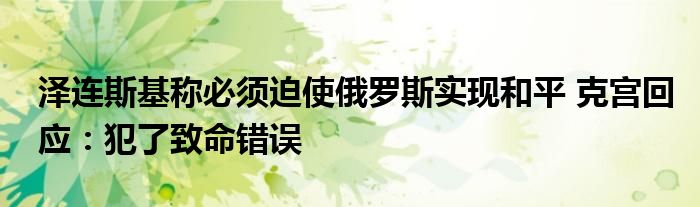 泽连斯基称必须迫使俄罗斯实现和平 克宫回应:犯了致命错误