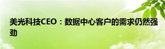 美光科技CEO:数据中心客户的需求仍然强劲
