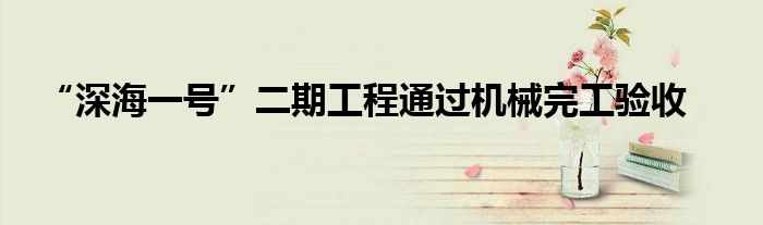 “深海一号”二期工程通过机械完工验收