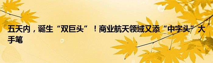 五天内,诞生“双巨头”!商业航天领域又添“中字头”大手笔