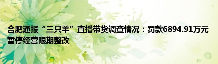 合肥通报“三只羊”直播带货调查情况:罚款6894.91万元 暂停经营限期整改