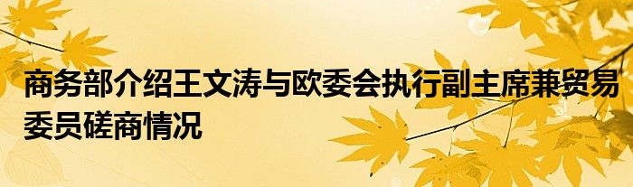 商务部介绍王文涛与欧委会执行副主席兼贸易委员磋商情况