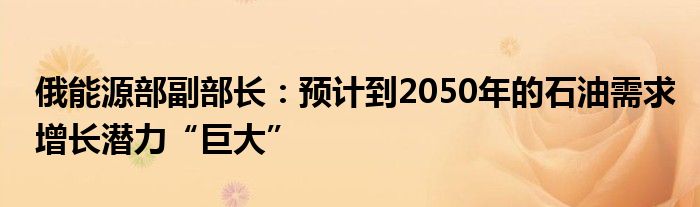 俄能源部副部长:预计到2050年的石油需求增长潜力“巨大”
