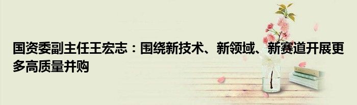 国资委副主任王宏志:围绕新技术、新领域、新赛道开展更多高质量并购