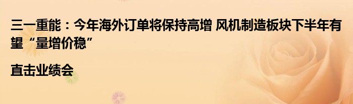 三一重能:今年海外订单将保持高增 风机制造板块下半年有望“量增价稳”|直击业绩会