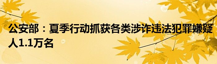 公安部:夏季行动抓获各类涉诈违法犯罪嫌疑人1.1万名