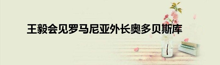 王毅会见罗马尼亚外长奥多贝斯库