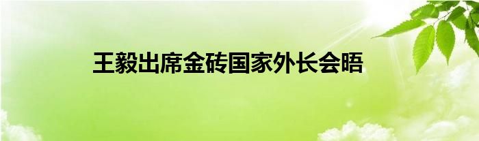 王毅出席金砖国家外长会晤