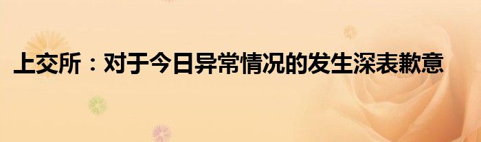 上交所:对于今日异常情况的发生深表歉意