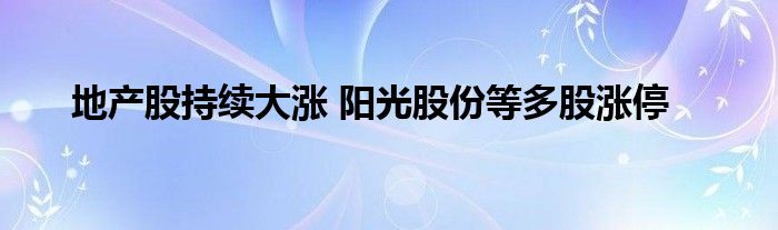 地产股持续大涨 阳光股份等多股涨停