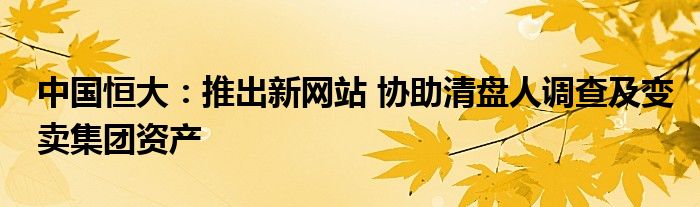 中国恒大:推出新网站 协助清盘人调查及变卖集团资产