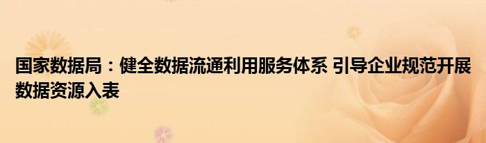 国家数据局:健全数据流通利用服务体系 引导企业规范开展数据资源入表