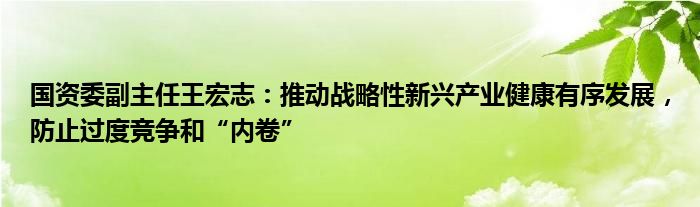 国资委副主任王宏志:推动战略性新兴产业健康有序发展,防止过度竞争和“内卷”