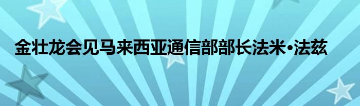 金壮龙会见马来西亚通信部部长法米·法兹