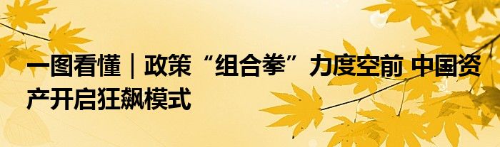 一图看懂｜政策“组合拳”力度空前 中国资产开启狂飙模式