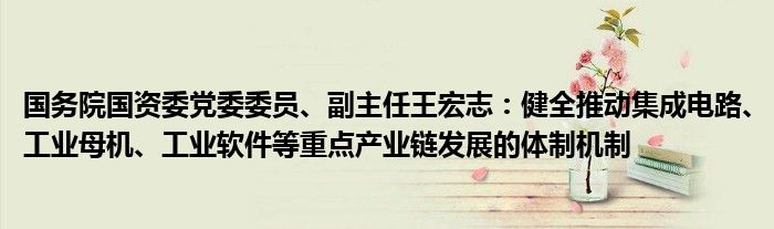 国务院国资委党委委员、副主任王宏志:健全推动集成电路、工业母机、工业软件等重点产业链发展的体制机制