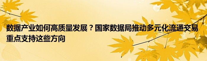 数据产业如何高质量发展?国家数据局推动多元化流通交易 重点支持这些方向