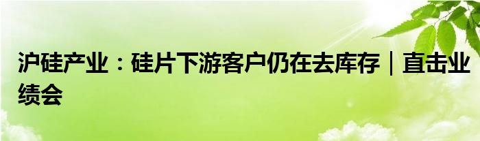 沪硅产业:硅片下游客户仍在去库存|直击业绩会