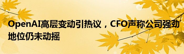 OpenAI高层变动引热议,CFO声称公司强劲地位仍未动摇