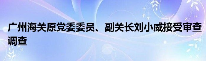 广州海关原党委委员、副关长刘小威接受审查调查