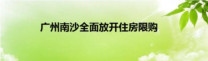 广州南沙全面放开住房限购