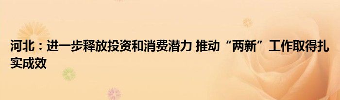 河北:进一步释放投资和消费潜力 推动“两新”工作取得扎实成效