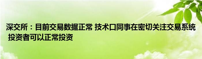 深交所:目前交易数据正常 技术口同事在密切关注交易系统 投资者可以正常投资