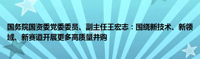 国务院国资委党委委员、副主任王宏志:围绕新技术、新领域、新赛道开展更多高质量并购