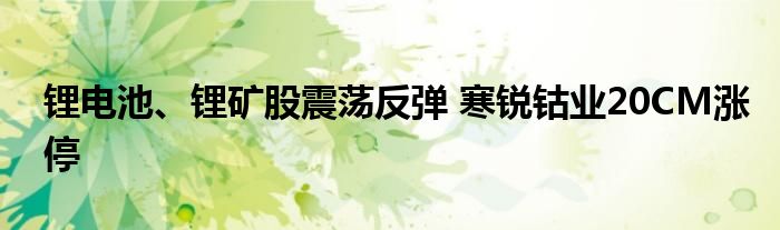 锂电池、锂矿股震荡反弹 寒锐钴业20CM涨停