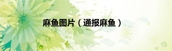 麻鱼图片（通报麻鱼）