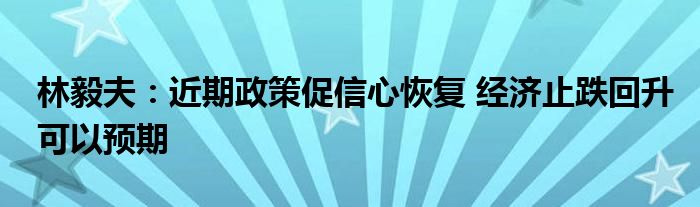 林毅夫:近期政策促信心恢复 经济止跌回升可以预期