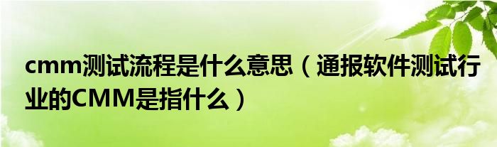 cmm测试流程是什么意思(通报软件测试行业的CMM是指什么)