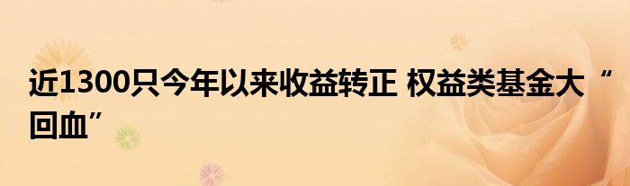 近1300只今年以来收益转正 权益类基金大“回血”