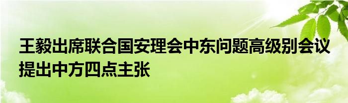 王毅出席联合国安理会中东问题高级别会议 提出中方四点主张