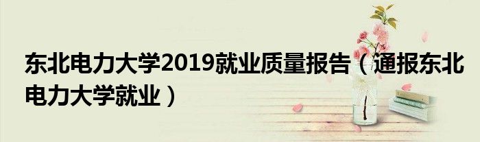 东北电力大学2019就业质量报告(通报东北电力大学就业)