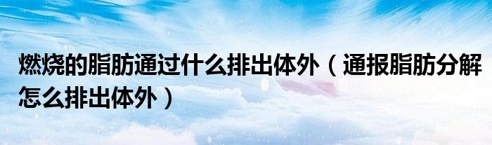 燃烧的脂肪通过什么排出体外(通报脂肪分解怎么排出体外)