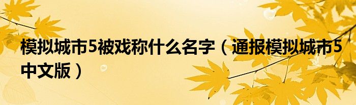 模拟城市5被戏称什么名字(通报模拟城市5中文版)