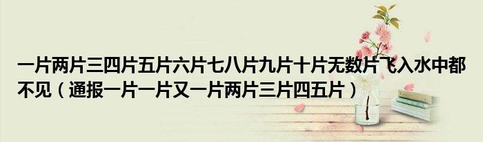 一片两片三四片五片六片七八片九片十片无数片飞入水中都不见(通报一片一片又一片两片三片四五片)
